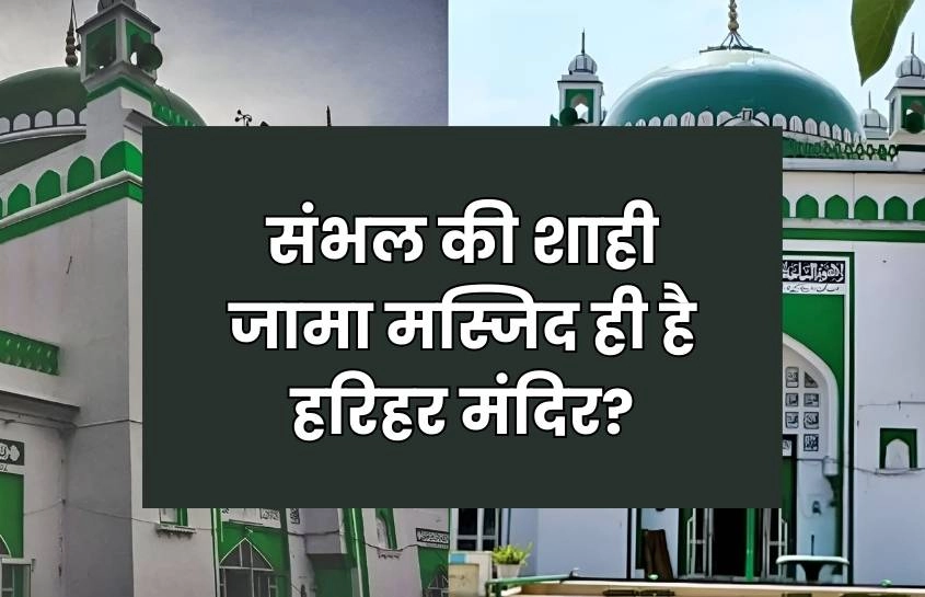 संभल की शाही जामा मस्जिद ही है हरिहर मंदिर? 